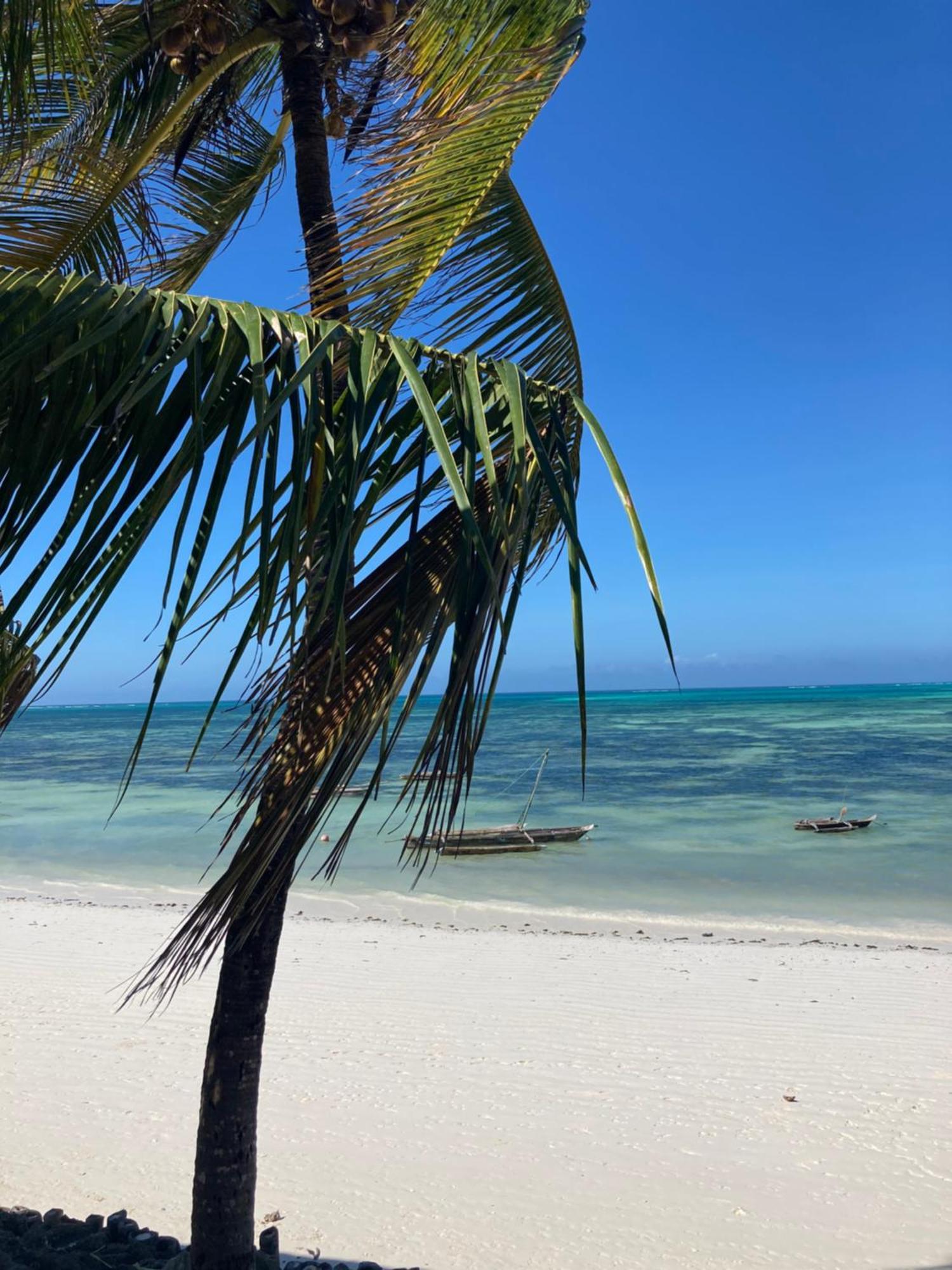 Gasthof Mango House Jambiani (Zanzibar)